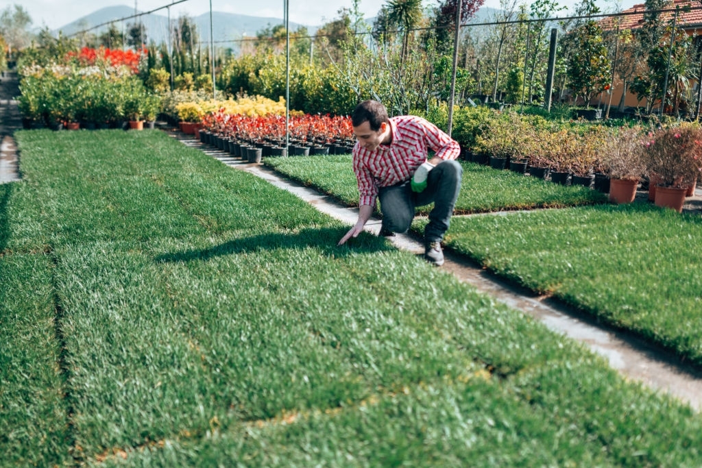 Colleyville TX Landscaping